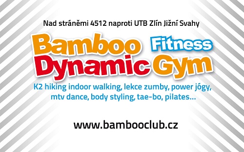 Bamboo Dynamic Gym
